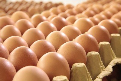 盐城鸡蛋检测价格,鸡蛋检测机构,鸡蛋检测项目,鸡蛋常规检测
